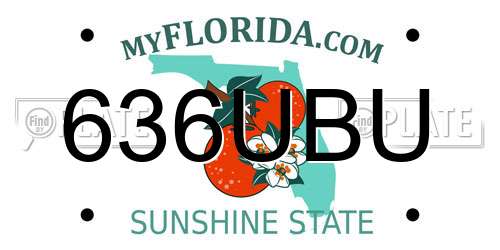 636UBU Florida License Plate
