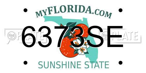 6373SE Florida License Plate