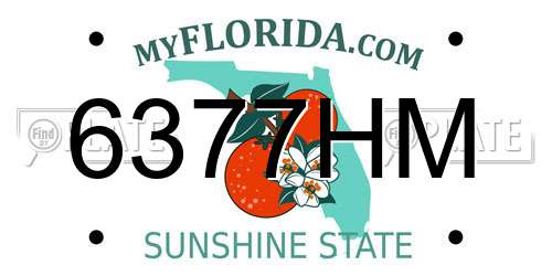6377HM Florida License Plate
