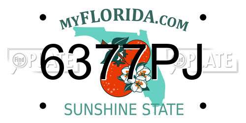 6377PJ Florida License Plate