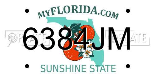 6384JM Florida License Plate
