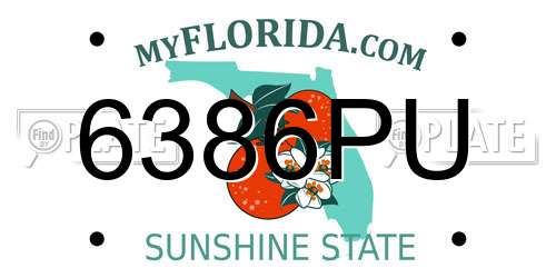 6386PU Florida License Plate