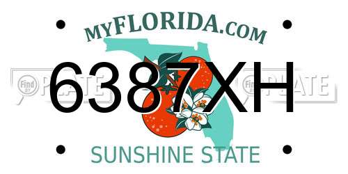 6387XH Florida License Plate
