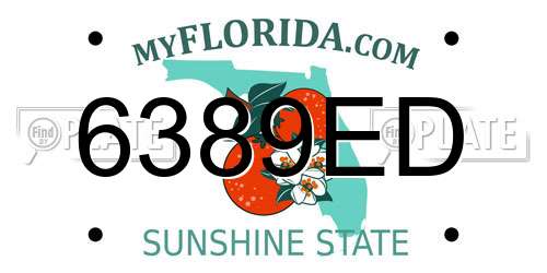 6389ED Florida License Plate