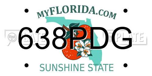 638PDG Florida License Plate