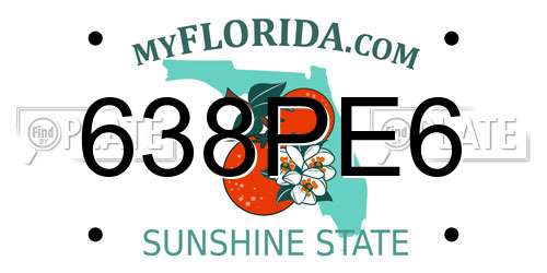 638PE6 Florida License Plate