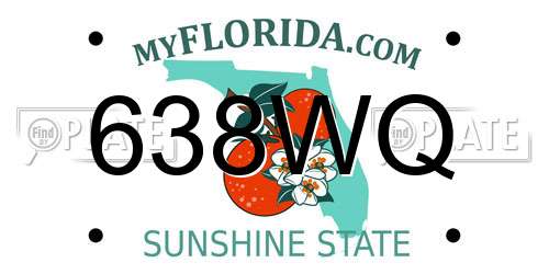 638WQ Florida License Plate