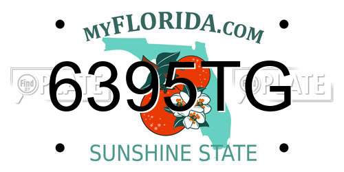 6395TG Florida License Plate