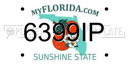 6399IP Florida License Plate