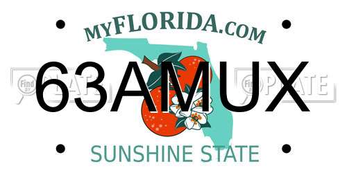 63AMUX Florida License Plate
