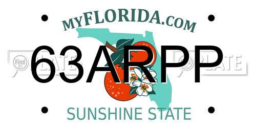 63ARPP Florida License Plate