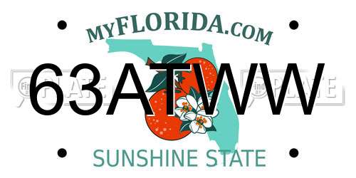 63ATWW Florida License Plate