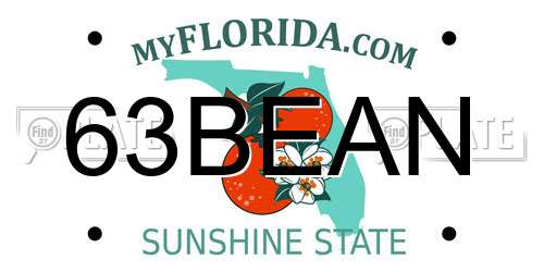 63BEAN Florida License Plate