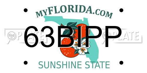 63BIPP Florida License Plate