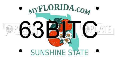 63BITC Florida License Plate