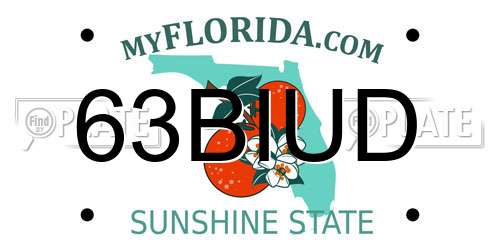 63BIUD Florida License Plate