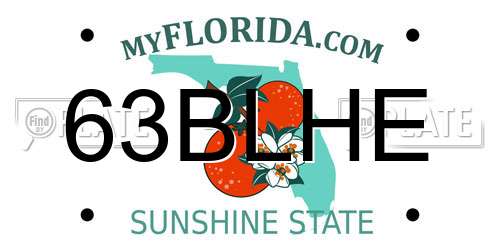 63BLHE Florida License Plate
