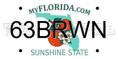 63BRWN Florida License Plate