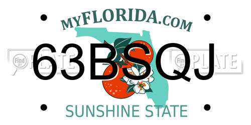63BSQJ Florida License Plate
