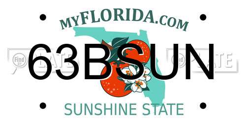 63BSUN Florida License Plate