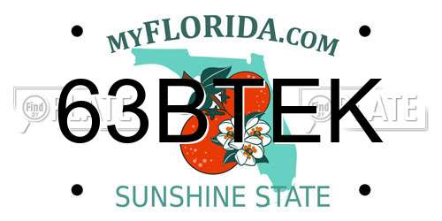 63BTEK Florida License Plate