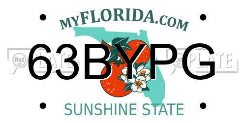 63BYPG Florida License Plate
