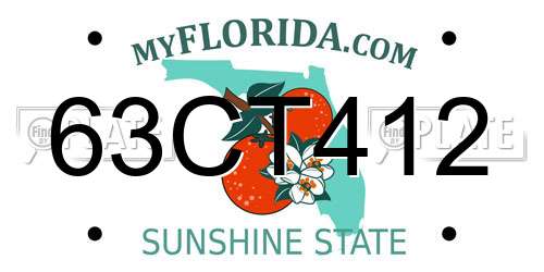 63CT412 Florida License Plate