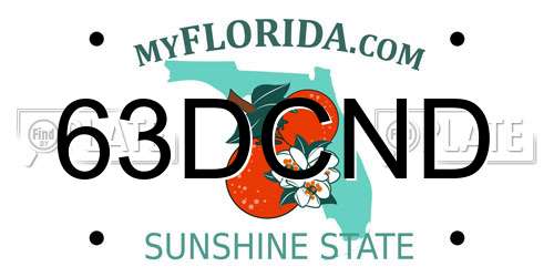 63DCND Florida License Plate