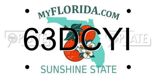 63DCYI Florida License Plate