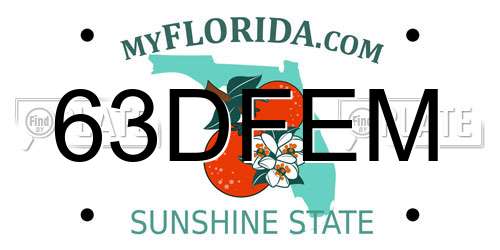63DFEM Florida License Plate