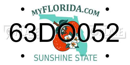 63DO052 Florida License Plate