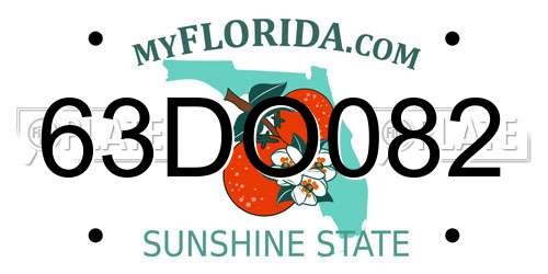63DO082 Florida License Plate