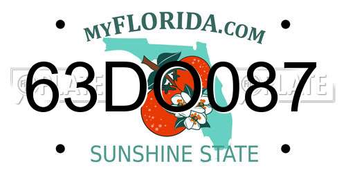 63DO087 Florida License Plate
