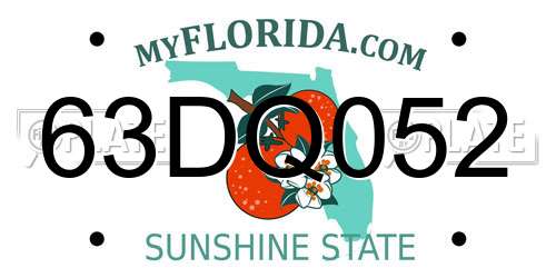 63DQ052 Florida License Plate