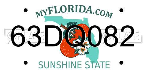 63DQ082 Florida License Plate