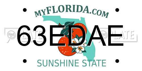 63EDAE Florida License Plate