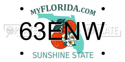 63ENW Florida License Plate