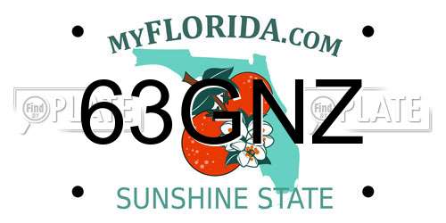 63GNZ Florida License Plate