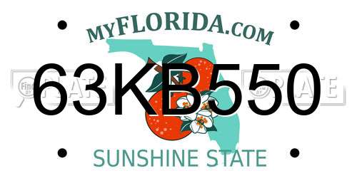 63KB550 Florida License Plate