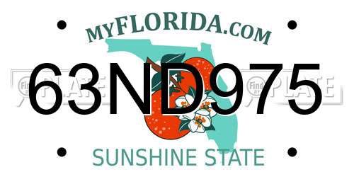 63ND975 Florida License Plate