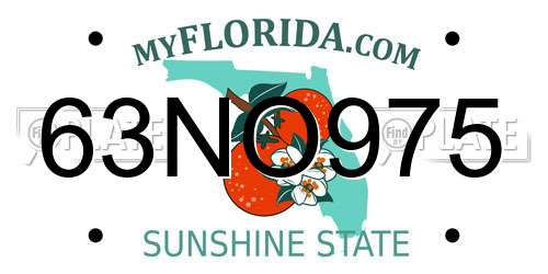 63NO975 Florida License Plate