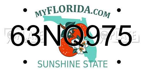 63NQ975 Florida License Plate