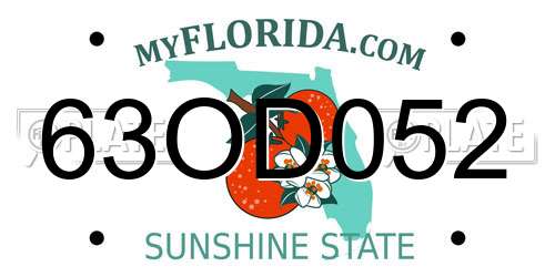 63OD052 Florida License Plate