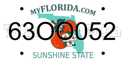 63OO052 Florida License Plate