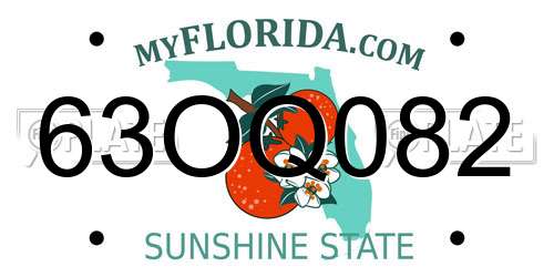 63OQ082 Florida License Plate
