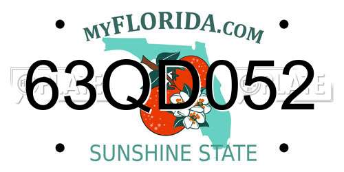 63QD052 Florida License Plate
