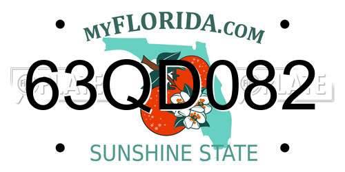 63QD082 Florida License Plate