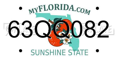 63QQ082 Florida License Plate