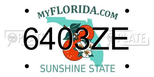 6403ZE Florida License Plate