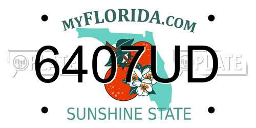 6407UD Florida License Plate